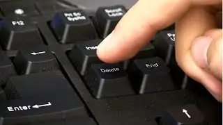 [ Delete ]