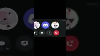 ты так похож на кота...