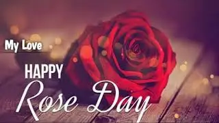 Rose day status 2021| Rose day whatsapp status| Valentine status| Rose day love status| valentine