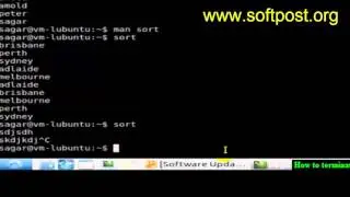 How to terminate the program in Bash