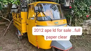 2012 ape goods for sale new paper 