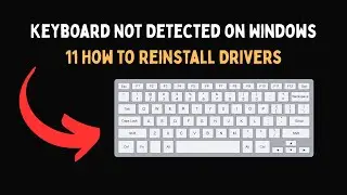 Клавиатура не обнаружена в Windows 11. Как переустановить драйверы