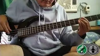 Shine - Collective Soul                                  ( bass cover ) dreynd.....
