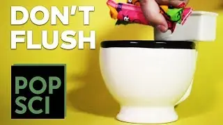 Never, EVER Flush These Things Down a Toilet