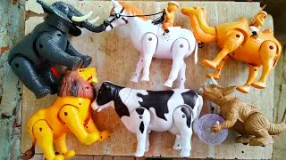Battery Animals Find - Horse Cow Camel Elephant Lion Dinosaurs.