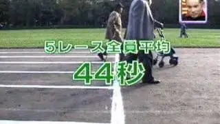 交通バラエティ 日本の歩きかた 大和町交差点
