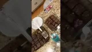 #brownie #cousins