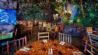 [4K] Rainforest Cafe - Disney's Animal Kingdom