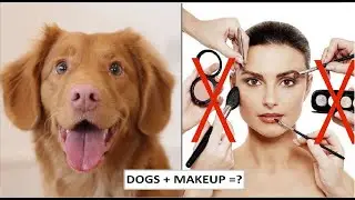 9 Funniest Dog Makeup Styles This Year| Poodle Planet