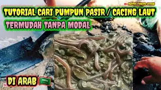 TUTORIAL CARI PUMPUN PASIR // CACING LAUT SANGAT MUDAH TANPA MODAL BERSAMA @mas awiee