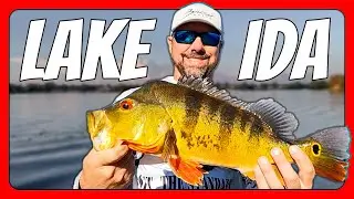 Lake Ida Peacock Bass & Snakeheads With @SoFlo_Outdoors [West Palm Beach Peacock Bass Fishing]