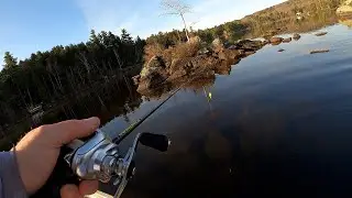 Slay Nation Bass Tournament Event #1, 2024 (Island Pond)