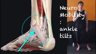 Ankle Tilts - SinWork - NeuroMobility