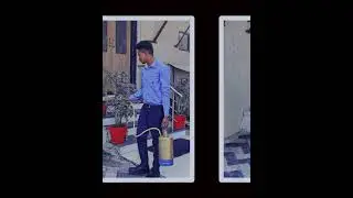 🛡️ Best Pest Control Services &ndash; Pari Pest Control!! #shorts