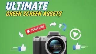 Green screen video cartoon birds |Birds Chroma Key | Flying Birds Overlay Green Screen|#greenscreen