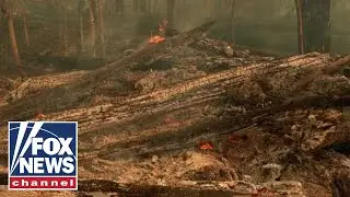 Macron urges action from G7 leaders on Amazon rainforest fire