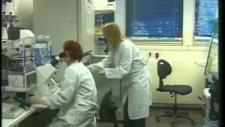 Das Deutsche Primatenzentrum