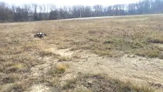 Super Shafty TVP racer