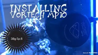Installing a Vortech MP10 Wave maker on 38 gallon tank 38g Ep.6