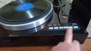 VICTOR QL - Y66F