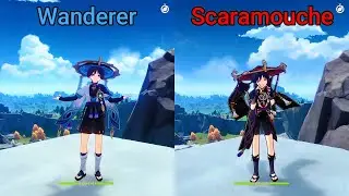 Wanderer Reality vs Expectation