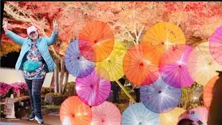 Part 2 - Autumn Leaves #changingcolors #outdooractivity  #satisfying #stressreliever #asmr