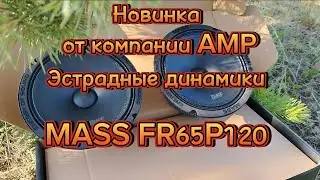 Акустика эстрадная AMP MASS FR65P120