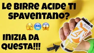 Il gusto acido ti spaventa? Inizia con questa! | Crazy Onion Beer Review