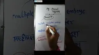 Pat online class | target PAT 2025 | free classes | printed notes | test series BY PATWALA