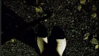 Бабушкина лупа Ночное приключение бабки!