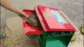 Sunflower Thresher