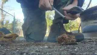 Can I get cedar bark to catch fire using a ferro rod 