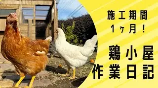 【にわとり】鶏小屋を作りました！| PUKAPUKALAND