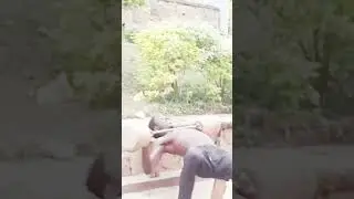 He Almost Got Crushed Doing This Challenge!