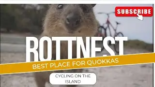 Cycling is the best way to explore Rottnest Island