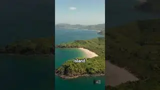 The deadly mystery of snake island