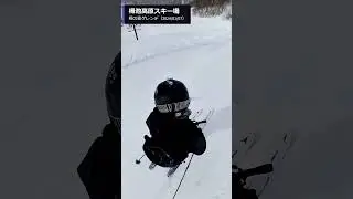 栂池の新雪パウダー狙いにいってすっころぶオッサン。栂池高原スキー場、栂の森ゲレンデ。セミファットおじさん #shorts