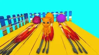 Animal 3d video Fun Animal colour cartoon kids
