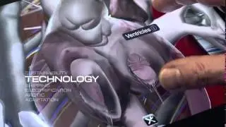 DNV GL - The Path
