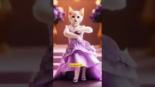 CUTENESS OVERLOAD! Is This The Funniest Cat Dance Ever 🐱 #cat