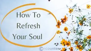 Meditation To Refresh Your Soul | Daily Prayer and Meditation | Encountering Peace