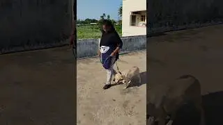 How Lucky doing 