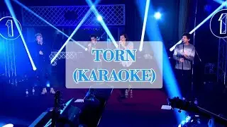 Natalie Imbruglia - TORN (Karaoke in One Direction Style)