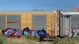 Railroad train with Autorack Railcars moving along for awhile then coming to a stop