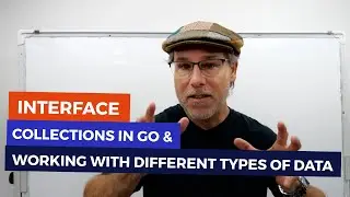 Go Syntax - Interface Collections
