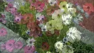 Belezas vivas