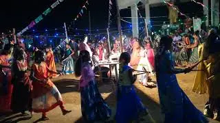 Gobbimma sandadi