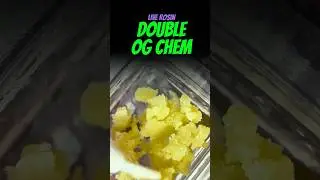 Double OG Chem Review | Blue River Live Rosin 🔬 Strongest Strain from Trulieve?