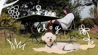 추석 브이로그 - 안주마을, 전 부치기, 한우 요리