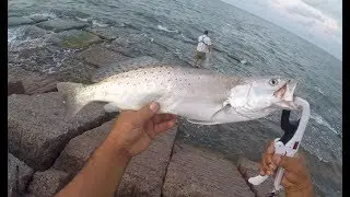 Another day of Matagorda Fishing Jettys pt 1/2